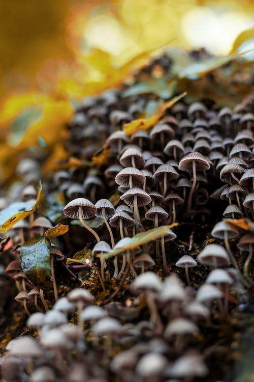 Copywriting emocional para marcas conscientes