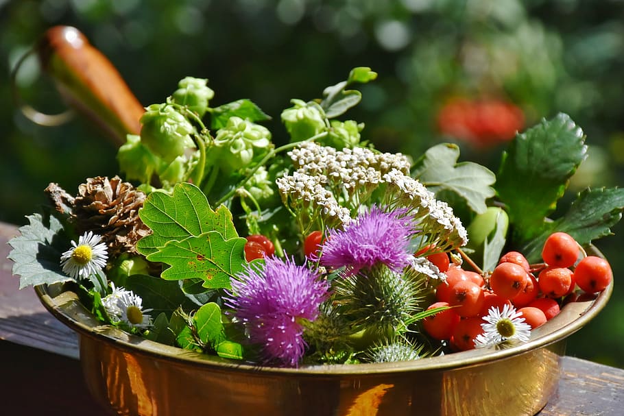 Transcreación para profesionales en LinkedIn